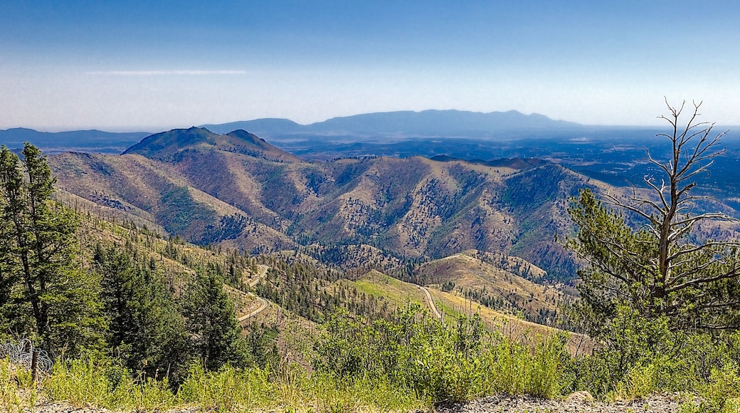 Soaring to nearly 10,000' high, the Windy Point Vista is a spectacular vantage point of the entire Lincoln National Forest and Tularosa Basin. Alto, New Mexico
