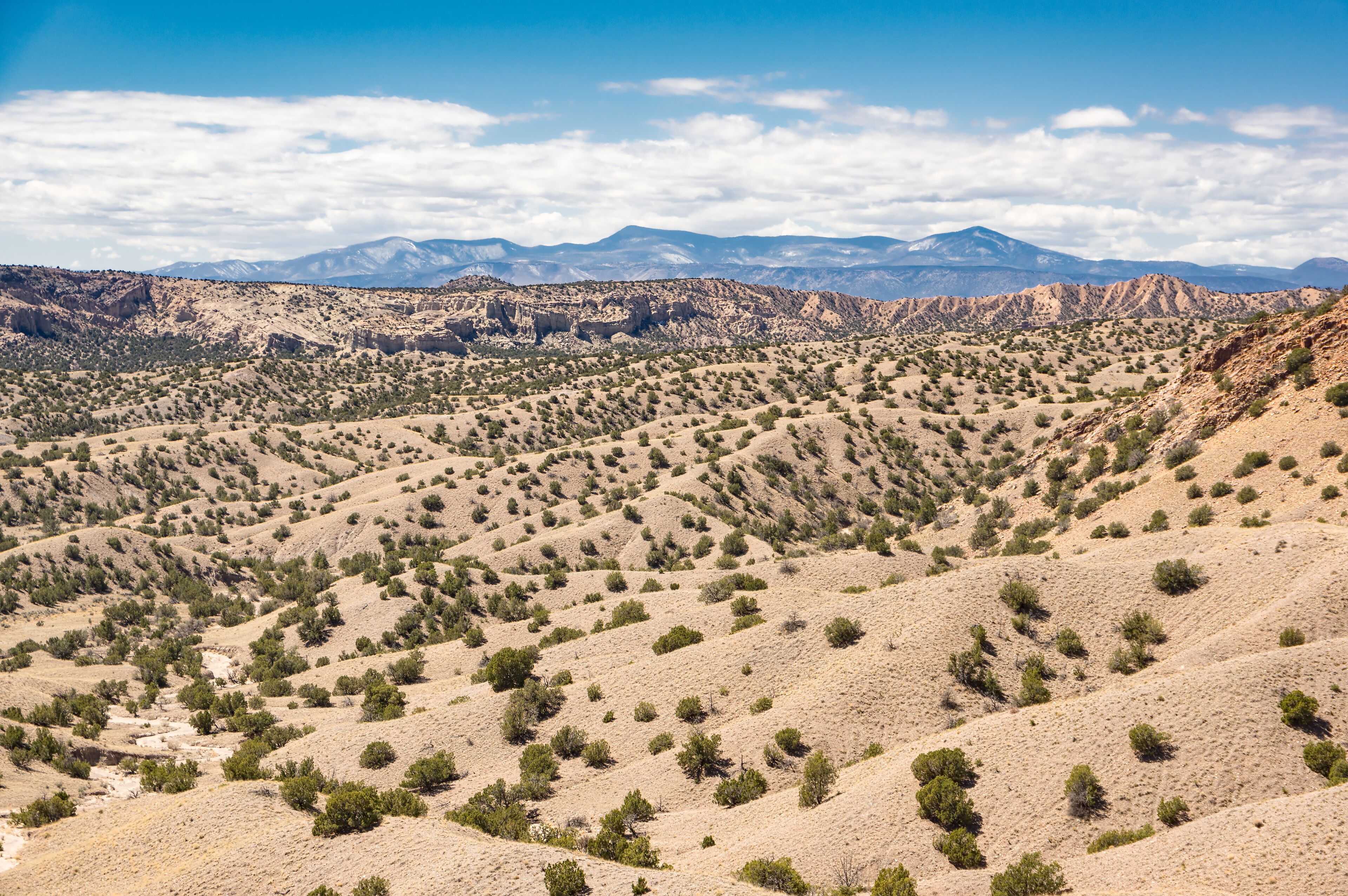 New Mexico Landscape View