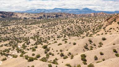 New Mexico Landscape View