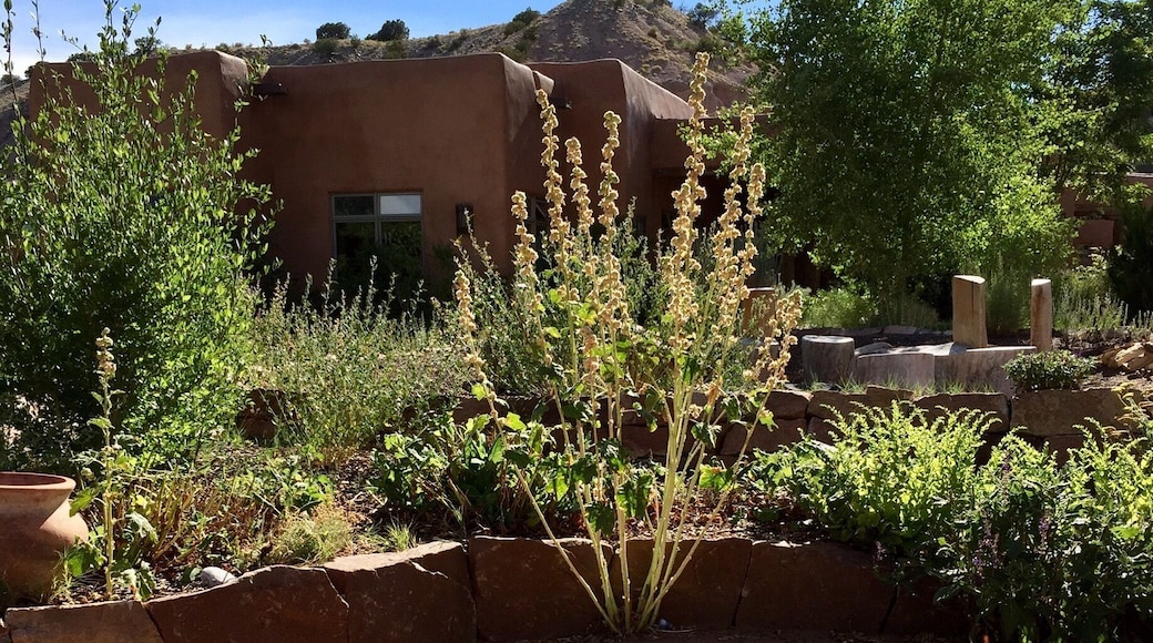 A very neat and relaxing place to go for a soak or massage, or both! Unsurprisingly, Ojo Caliente Resort is busy even in the heat of the summer. They have a wide variety of temperatures for both their public and private springs. The only downfall about this place is how pricey it is (~$20.00 for regular admission + whatever services you want on top of that). The atmosphere is very relaxing and would recommend to those who can afford it.