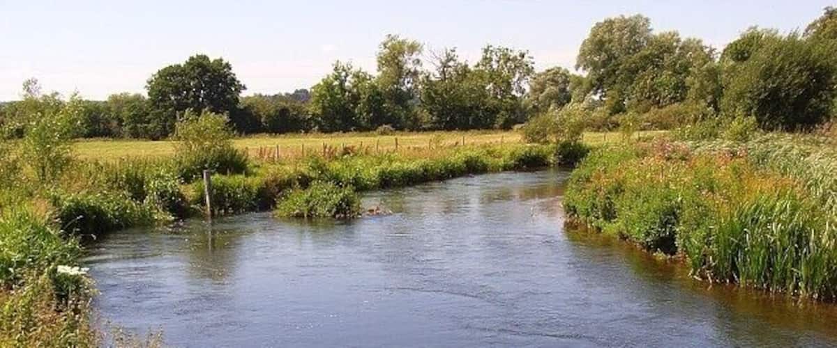 A calm river with grassy banks and trees in the background.