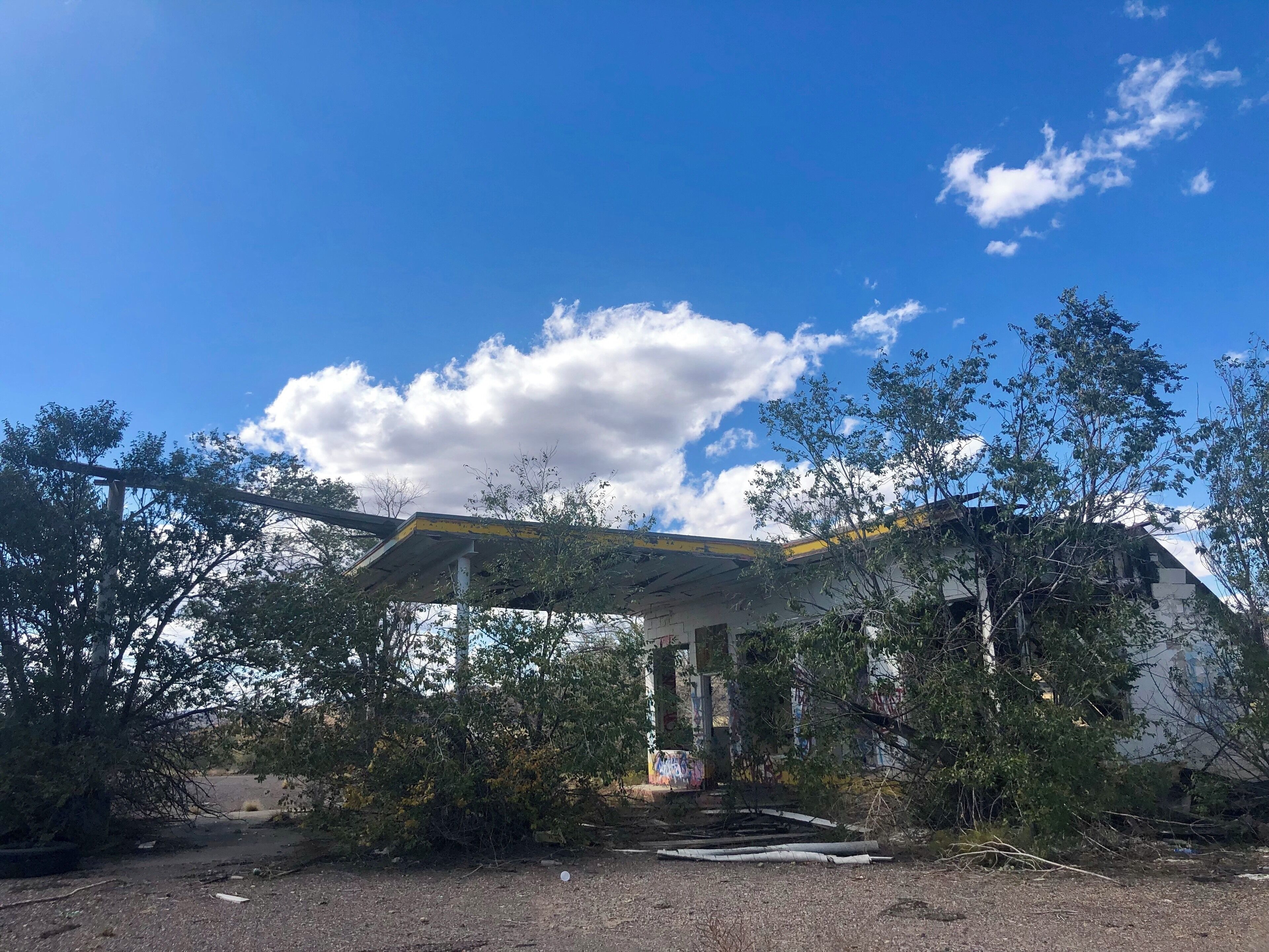 A dilapidated gas station with overgrown vegetation and graffiti.