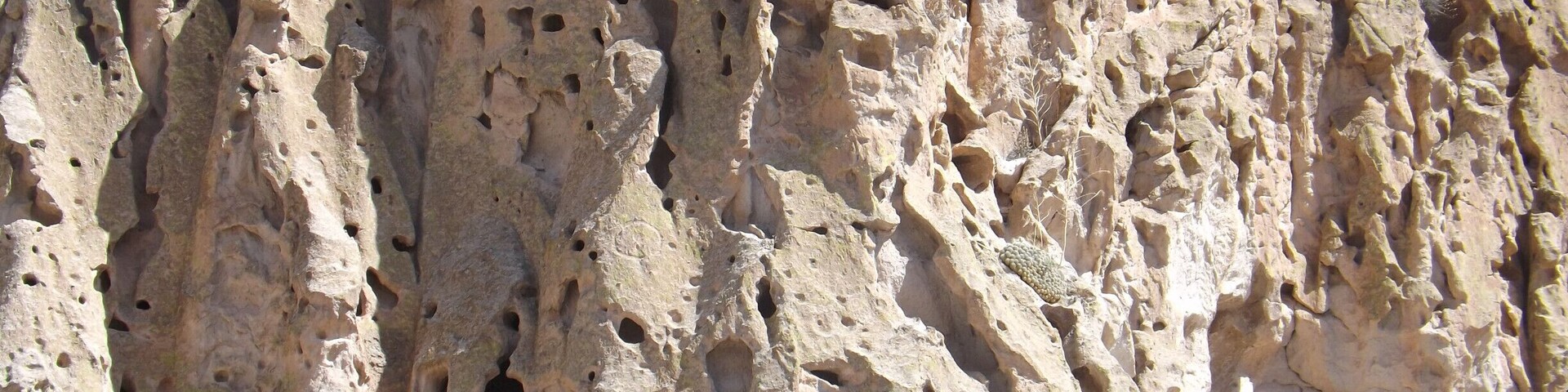 Cliff dwellings of Bandelier National Monument