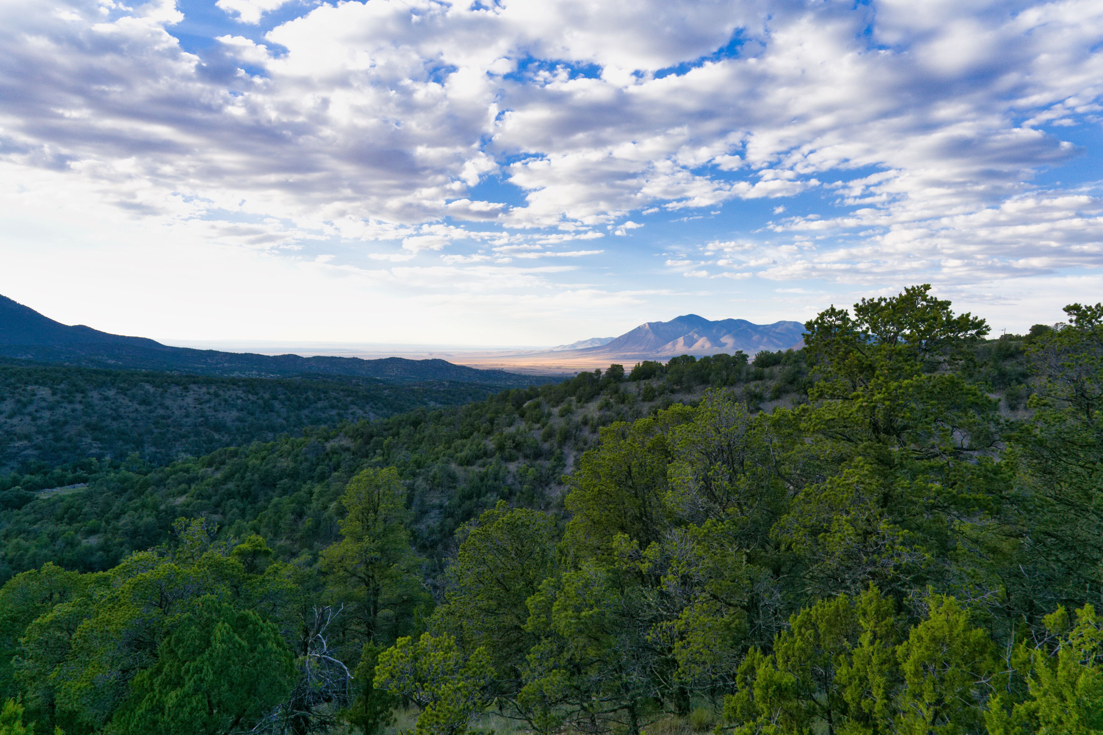 Lincoln National Forest, Tularosa Basin. New Mexico