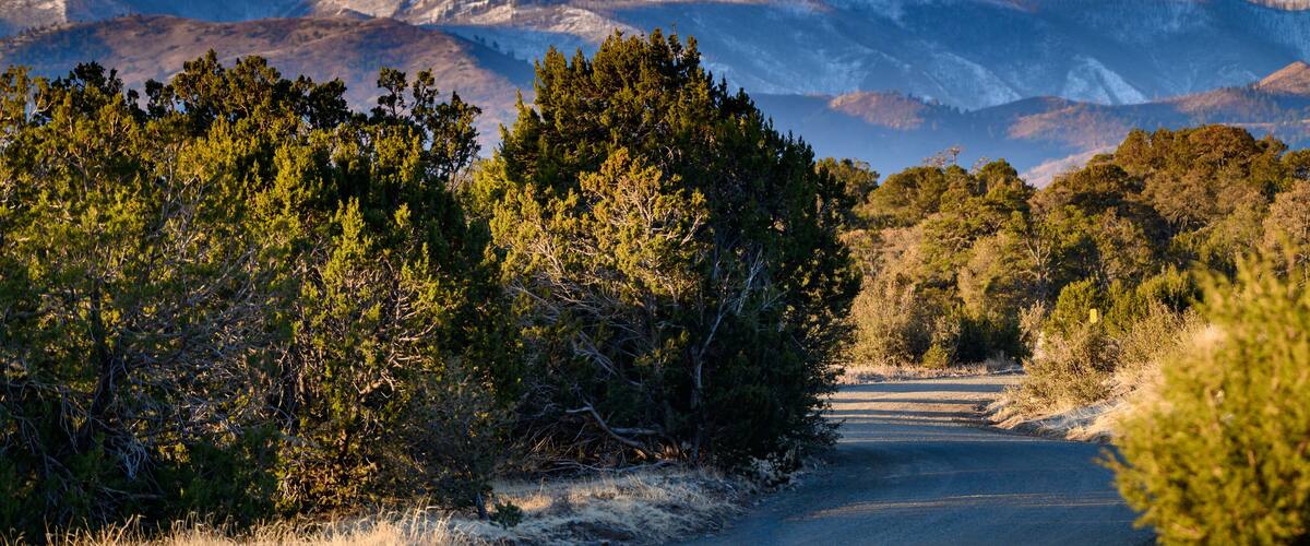 The road into the mountains