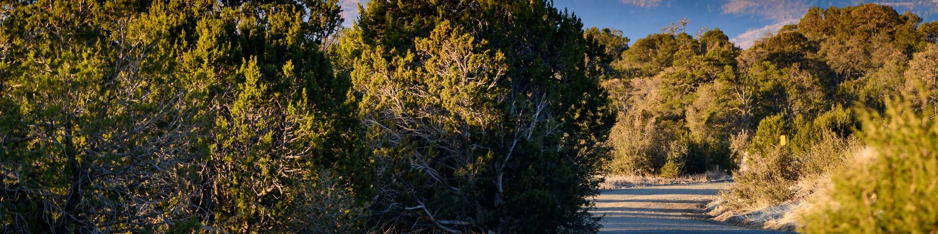 The road into the mountains
