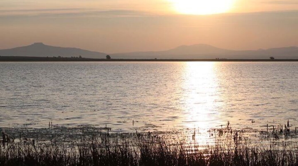 Lake 13 at Maxwell Wildlife Refuge