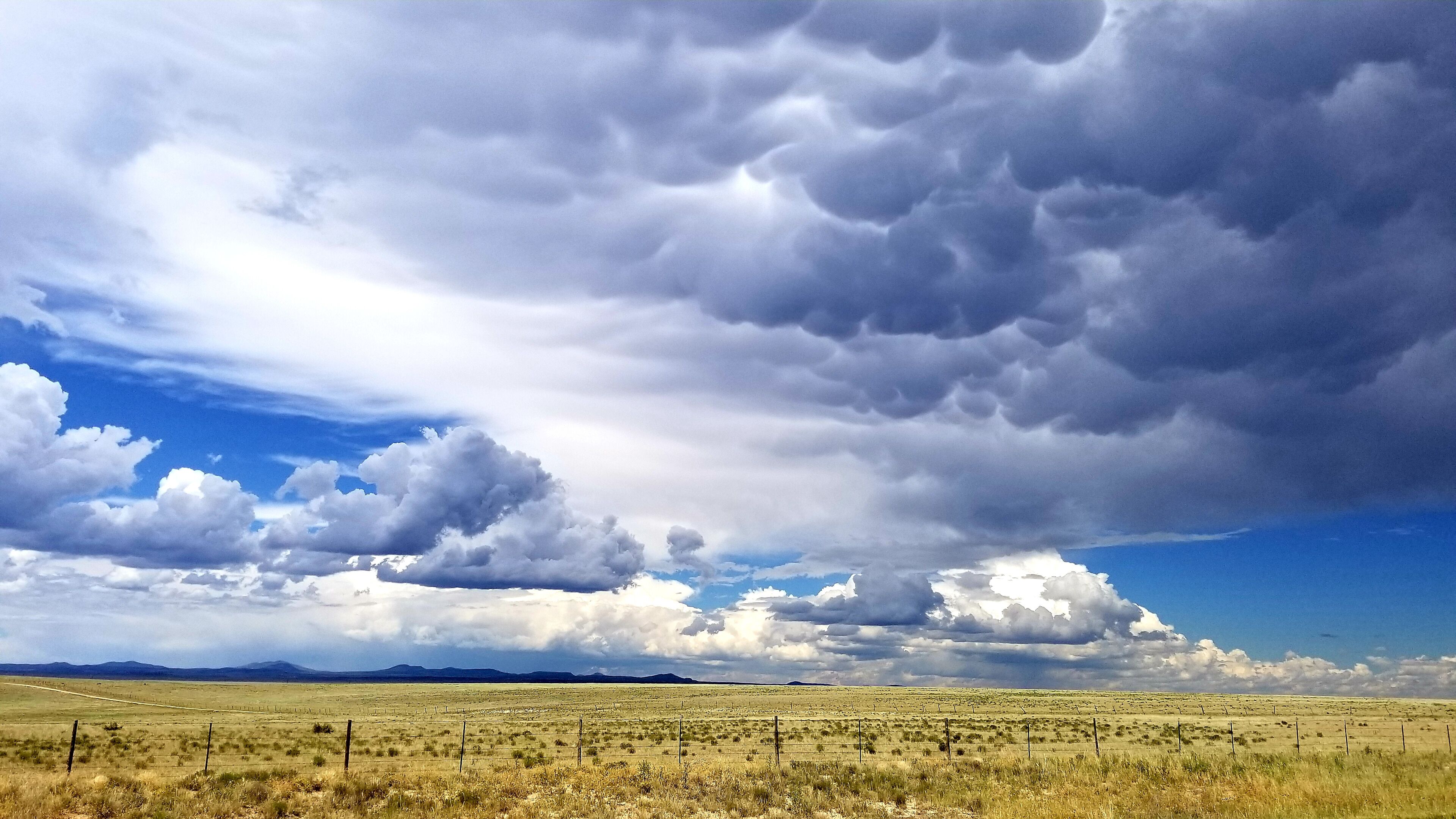 82 miles of the plains, sky, rare mammatus clouds & the beginning of the mountains between Clayton and Springer, New Mexico. It's a pretty desolate road. Doubt AAA could find you if you broke down here. #Nature
#NaturePhotoContest