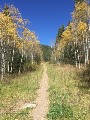 This trail that takes hikers through the Pecos River Valley offers beautiful views of the Pecos National Wilderness Area northeast of Santa Fe, NM