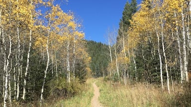 This trail that takes hikers through the Pecos River Valley offers beautiful views of the Pecos National Wilderness Area northeast of Santa Fe, NM