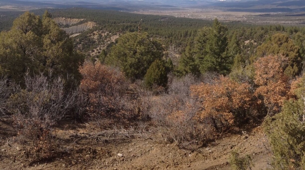 Great place for hiking and camping. Wonderful views.