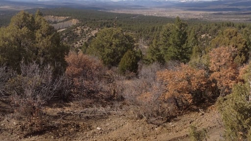 Great place for hiking and camping. Wonderful views.
