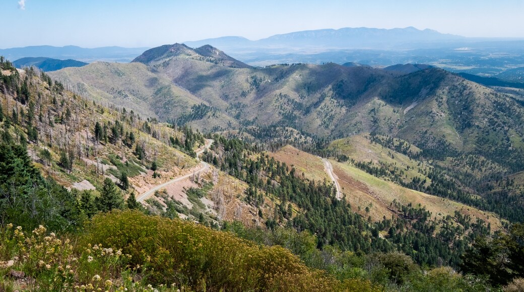 A mountainous landscape with winding roads and dense forests.