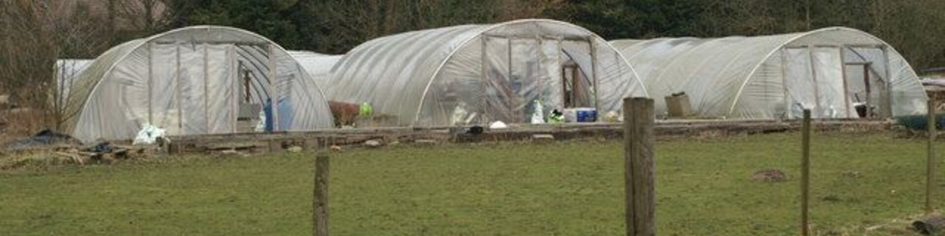 Polytunnels, Green Acres.