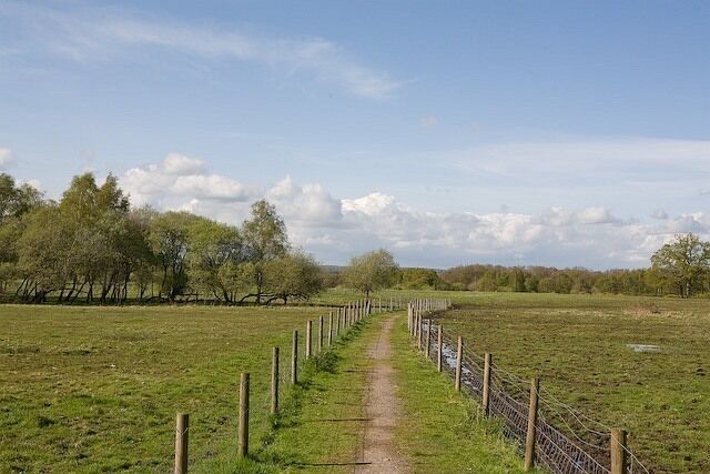 Footpath approaching Baddesley Common The footpath runs from the A27 at North Baddesley across the common to Emer Farm.