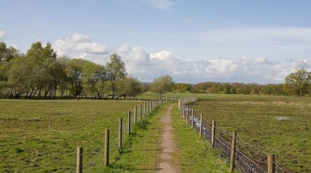 Footpath approaching Baddesley Common The footpath runs from the A27 at North Baddesley across the common to Emer Farm.