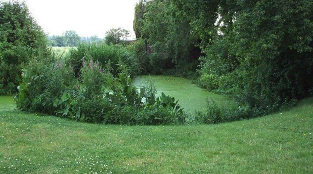 Pond beside St Osyth's Well in Bierton, Buckinghamshire