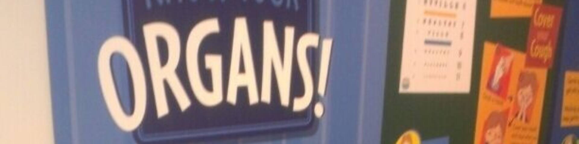 Stepping Stones children's museum. The water works air ball extravaganza would be a better shot but they all ended blurred!