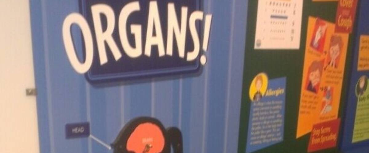 A classroom with a poster titled "KNOW YOUR ORGANS!" and a silhouette of a human body with labeled organs.