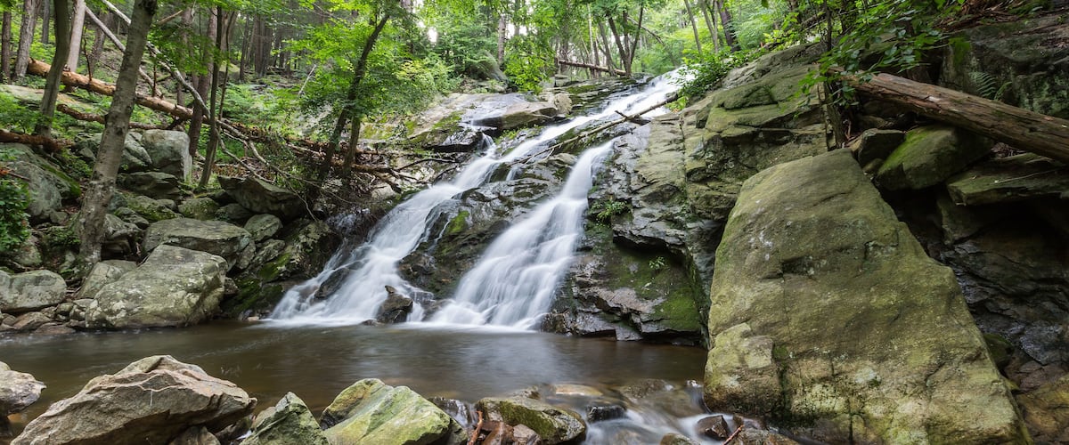 A waterfall in a forested area with large rocks and trees.