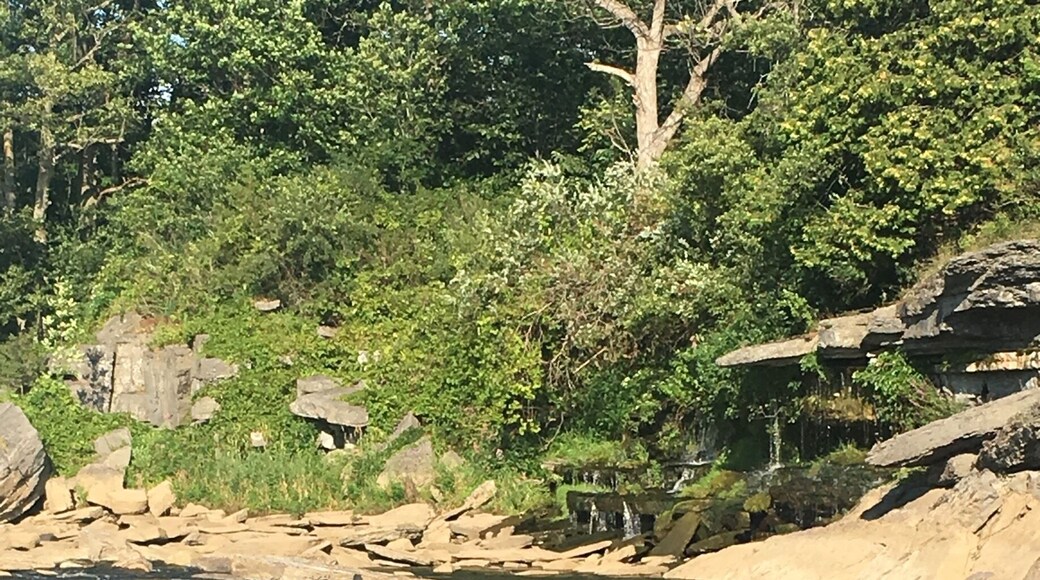 #aquatrove cool down post rollerblade session