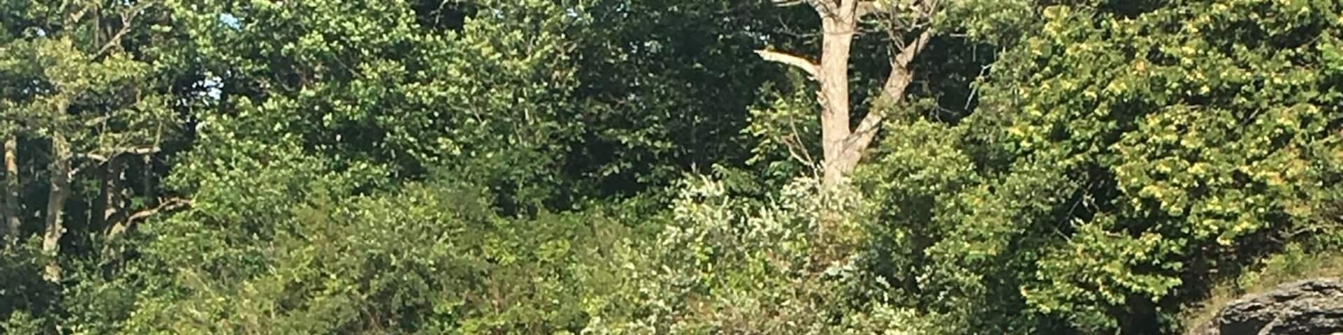 #aquatrove cool down post rollerblade session