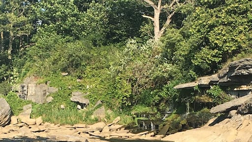 #aquatrove cool down post rollerblade session