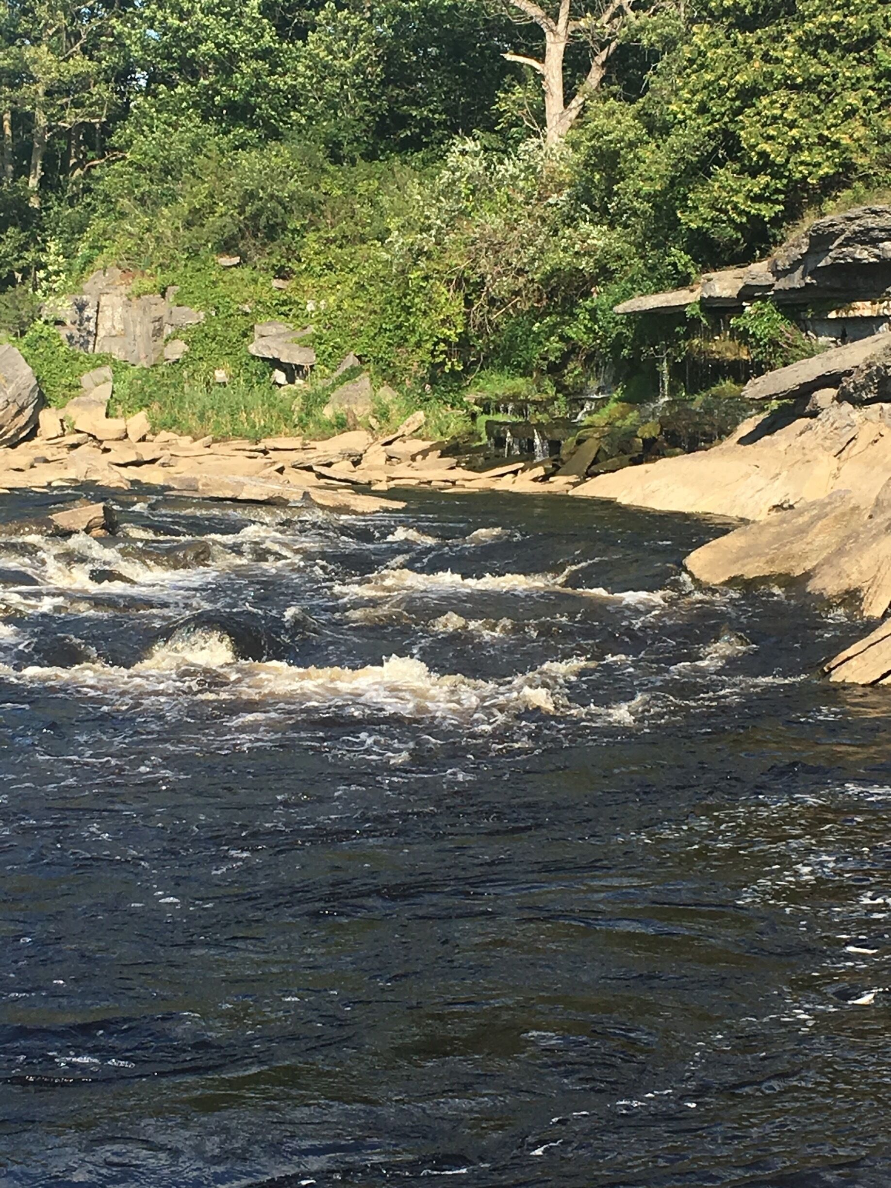 A river flowing through a rocky landscape with trees and greenery in the background.