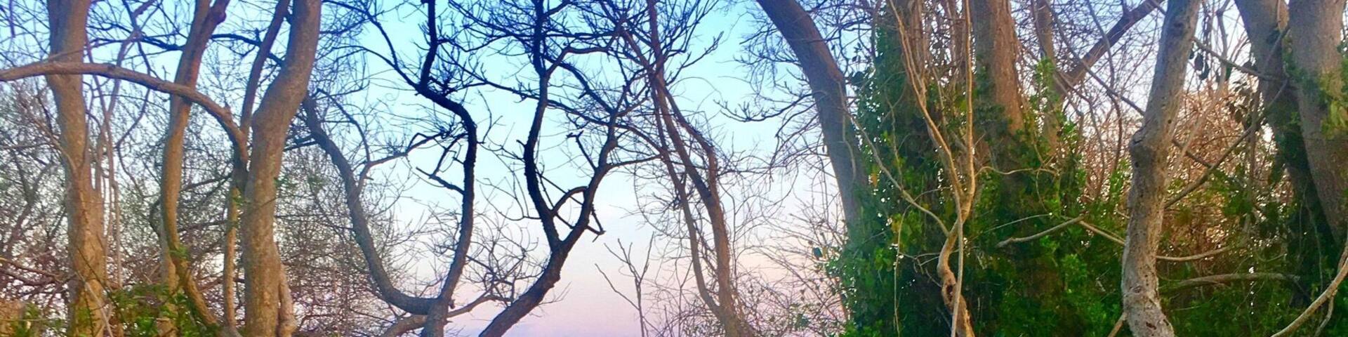 Beautiful little beach near my In laws. It's a nice, short walk with a view. Just keep it clean :) #springfun