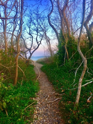 Beautiful little beach near my In laws. It's a nice, short walk with a view. Just keep it clean :) #springfun