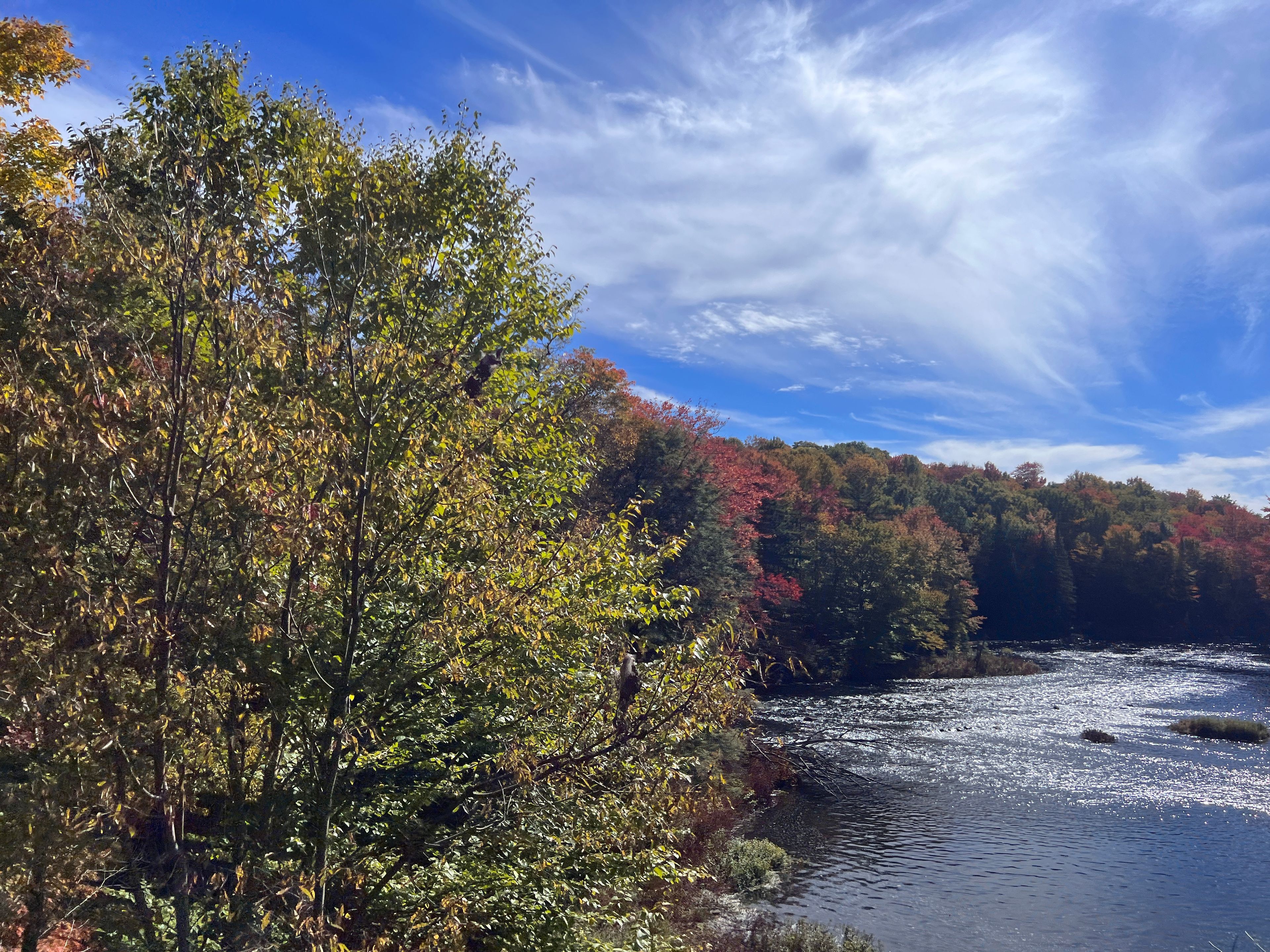 New York Erie Canal Fall Foliage 