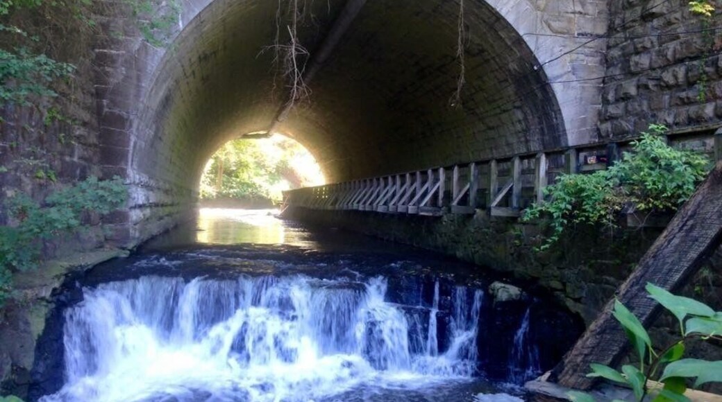 great place for a daycation!