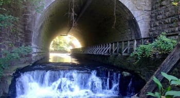 great place for a daycation!