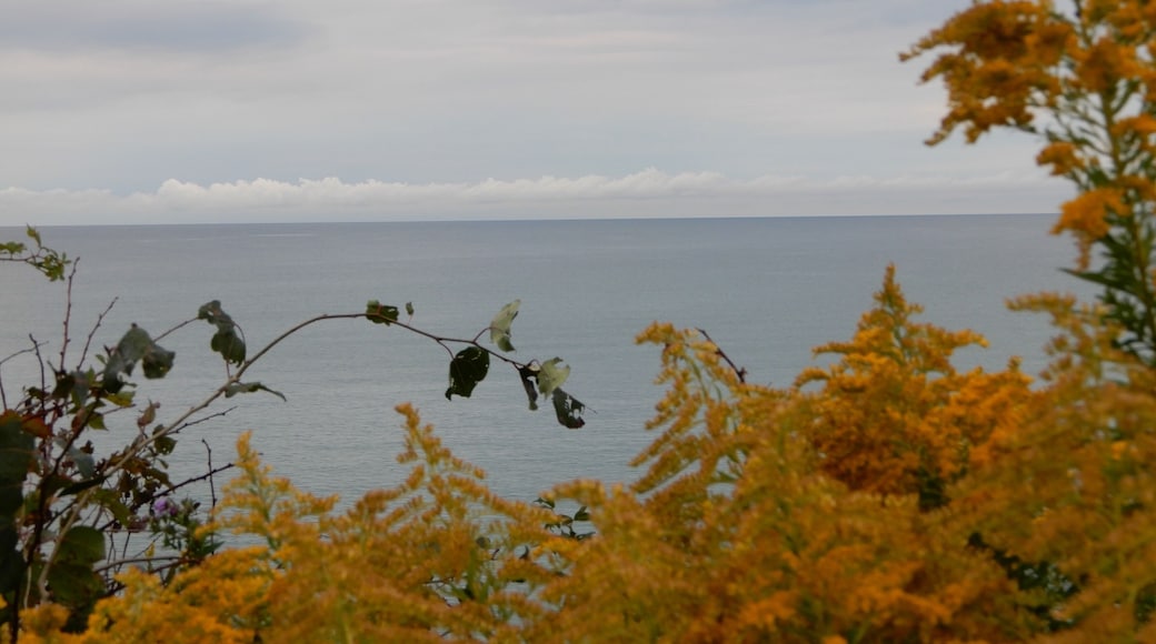 Early peaceful morning looking north to Canada !