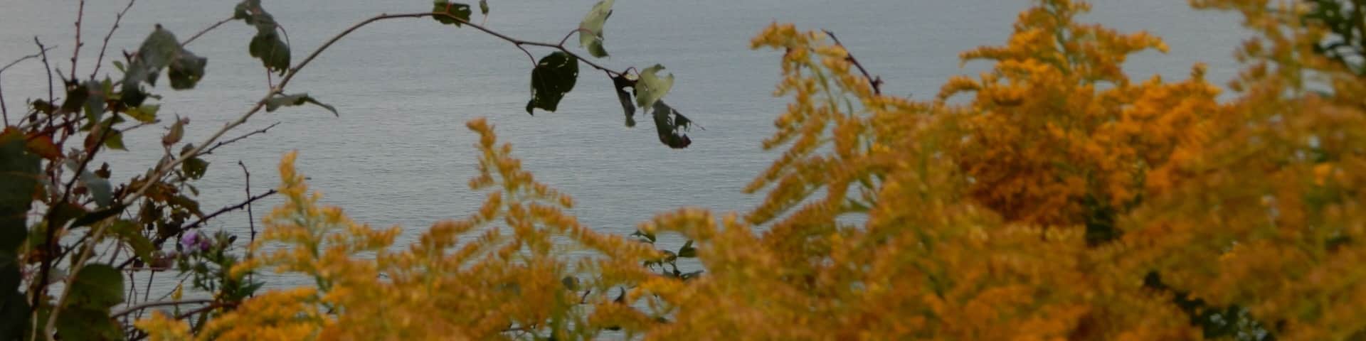Early peaceful morning looking north to Canada !