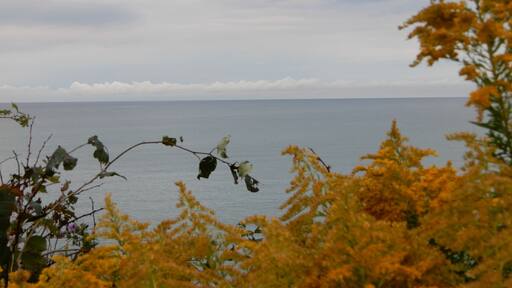 Early peaceful morning looking north to Canada !