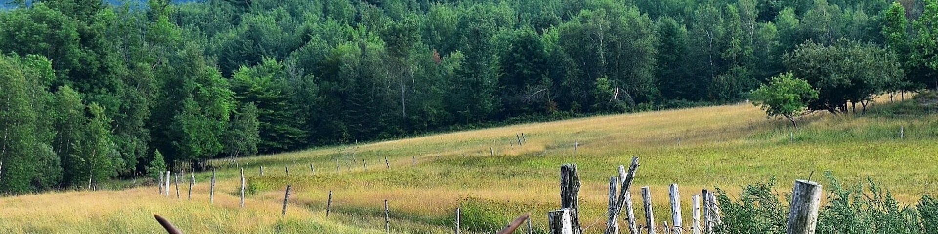 A beautiful view of the Saint Benedict Abbey in the Eastern Townships of Quebec. You can tour part of the Abbey, and the monks make and sell cheese, preserves and cider.