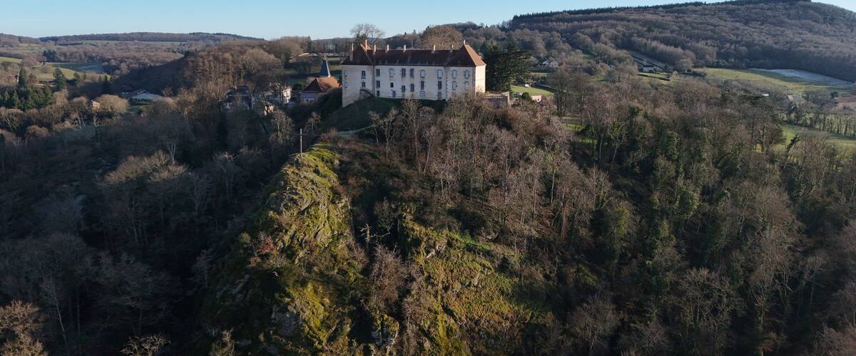 A castle on a hill surrounded by forest and fields.