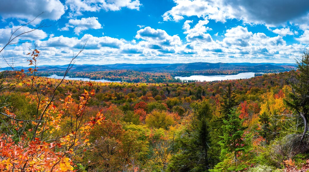 Fourth and third lake in the Adirondack from bald mountain fire tower