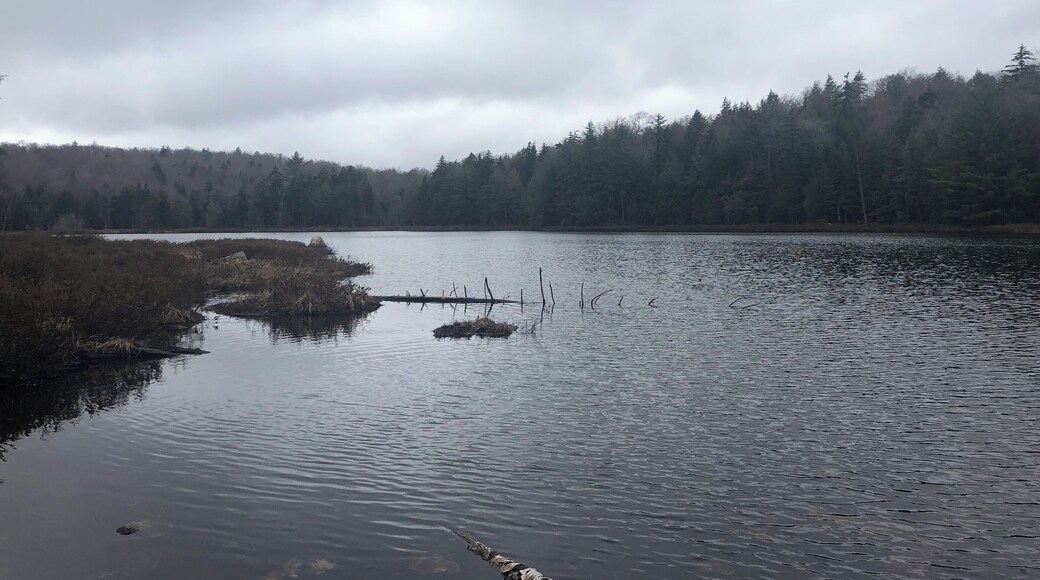 Found this place by accident. Nice hike to the lake with little waterfalls along the way. Once to the lake, look closely in the water near the shore and you might see some newts!
