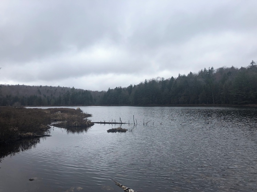 Found this place by accident. Nice hike to the lake with little waterfalls along the way. Once to the lake, look closely in the water near the shore and you might see some newts!