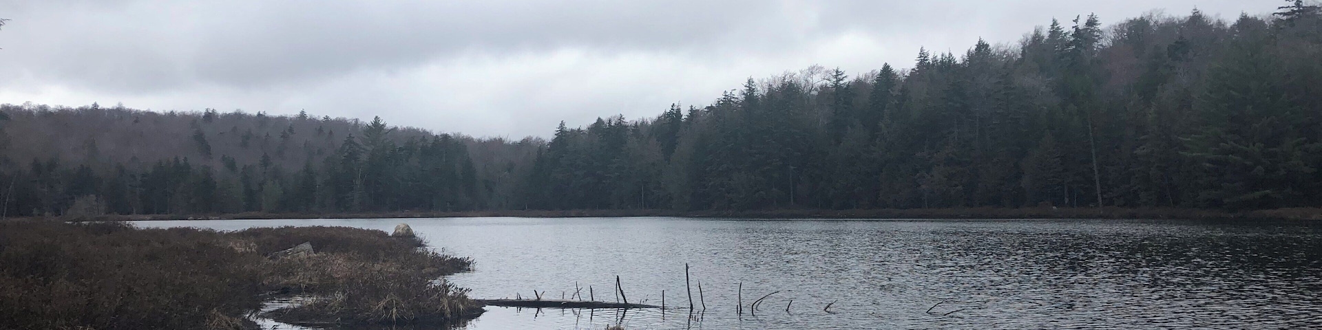 Found this place by accident. Nice hike to the lake with little waterfalls along the way. Once to the lake, look closely in the water near the shore and you might see some newts!