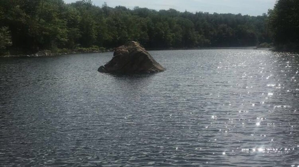 cute little lake that is perfect for a hot day.