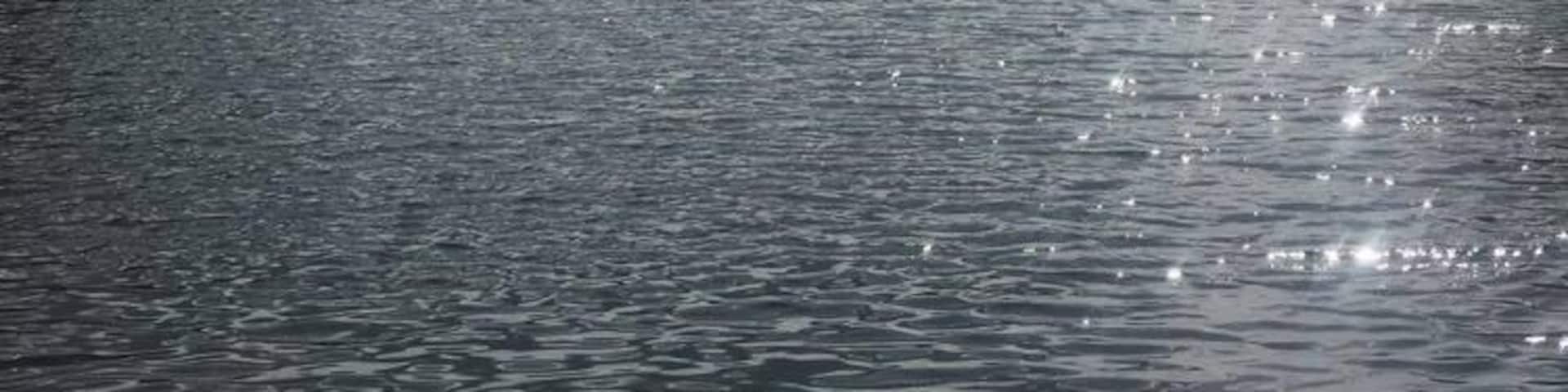 cute little lake that is perfect for a hot day.