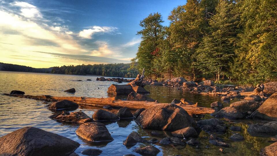 A rocky shoreline with a calm lake, surrounded by dense forest and a clear sky.