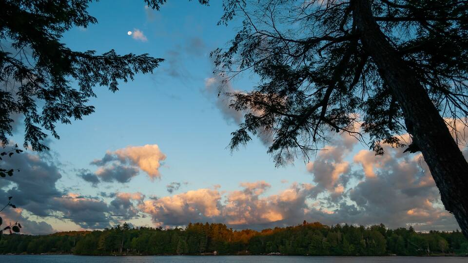 A lake surrounded by trees with a clear sky and a visible moon.