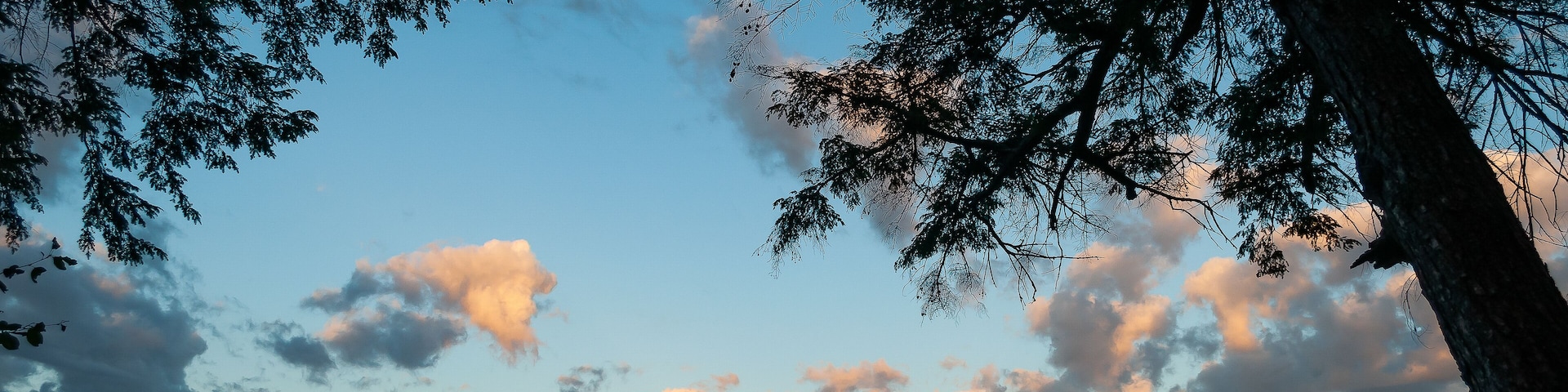 Un lago rodeado de árboles, con cielo despejado y la luna visible.
