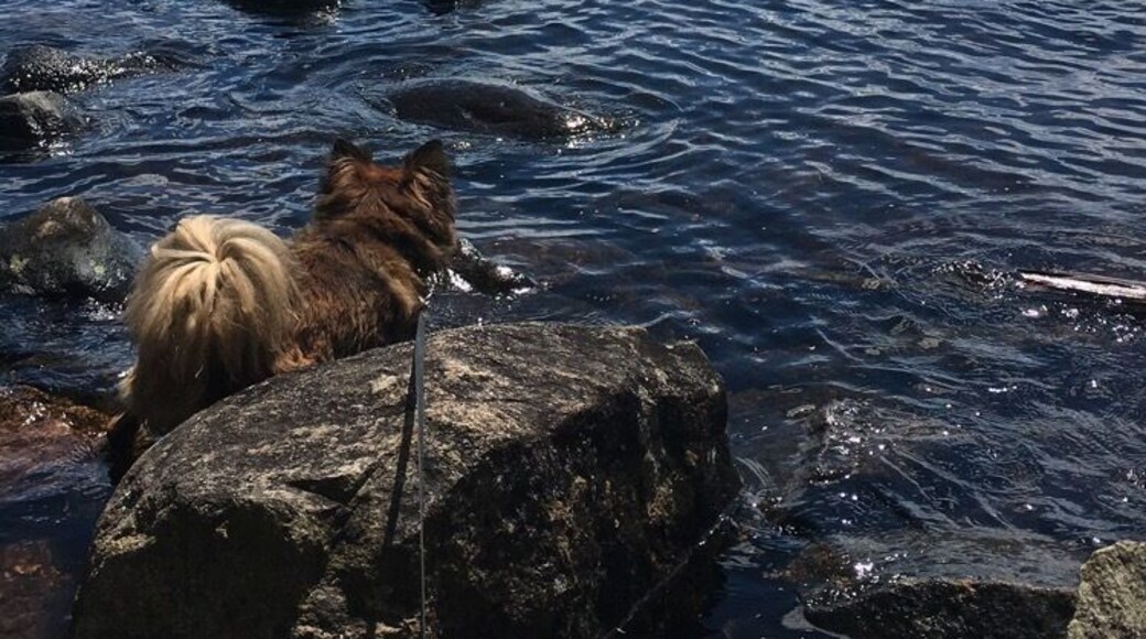 #aquatrove In the Adirondacks