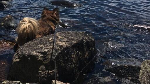 #aquatrove In the Adirondacks