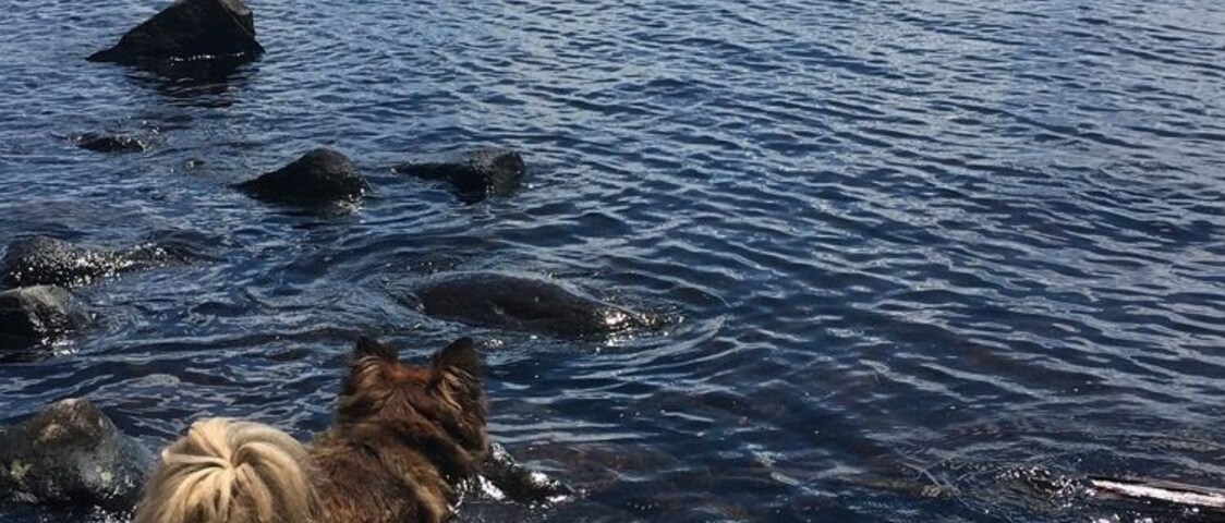 #aquatrove In the Adirondacks